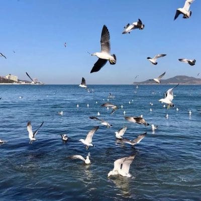 แอดมินใจดี avatar