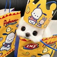 ลุงชัย สายลุย avatar