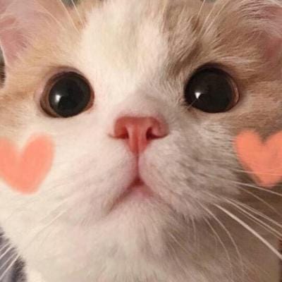 นิว นิวเจน avatar