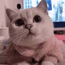 กิตติ ธนสุข avatar