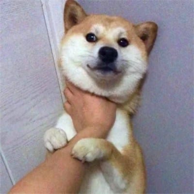 ต้น กล้าชัย avatar